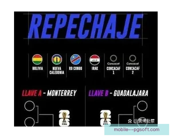 2026世界杯组委会宣布小组赛学生门票将享受专项补贴政策